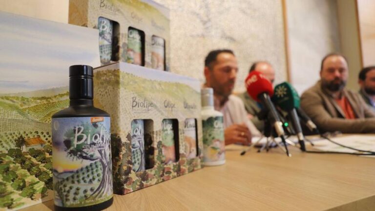 Olivarera Los Pedroches multiplica por diez la producción de aceituna en esta campaña
