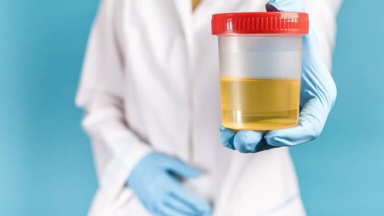 La orina humana, un inesperado fertilizante sostenible para la agricultura