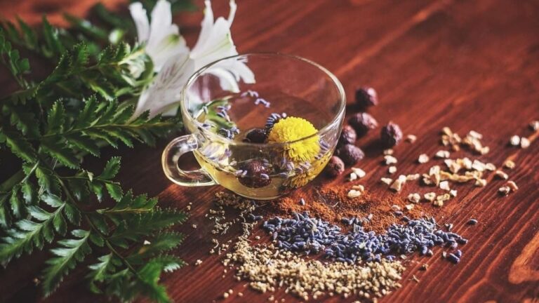 Paso a Paso: Cómo hacer tu propio blend de té en casa