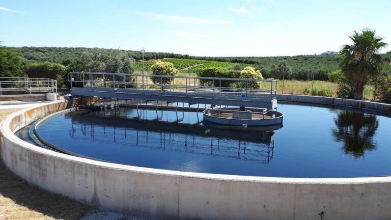 20 años aprendiendo de la naturaleza para enfrentar el desafío climático