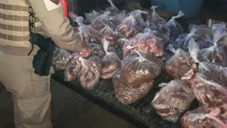 Se llevaron una desagradable sorpresa al revisar la caja de una camioneta