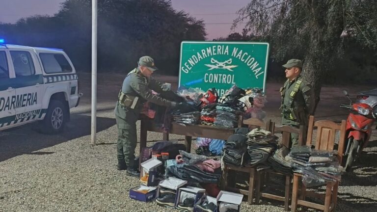 Incautaron contrabando valuado en más de 123 millones de pesos