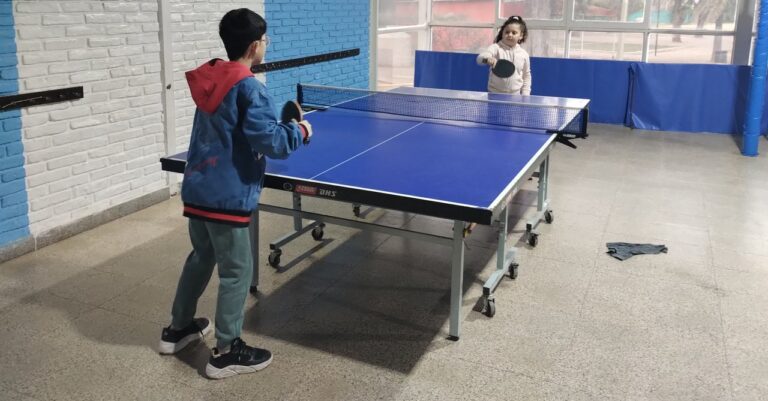 Se disputó el Provincial de Menores de Tenis de Mesa