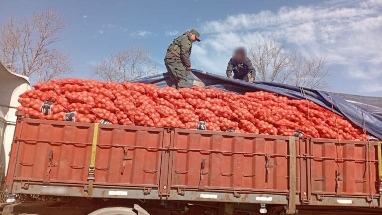 Córdoba: Camionero quiso sobornar a Gendarmería y terminó en la Justicia