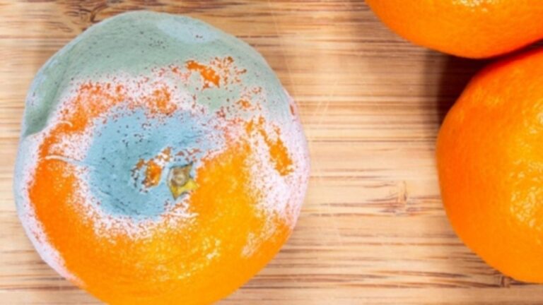 Peligros ocultos: Es seguro comer fruta con partes podridas?