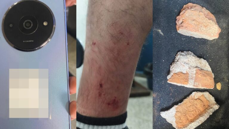 Liberó dos perros pitbull para atacar a la Policía y terminó detenida