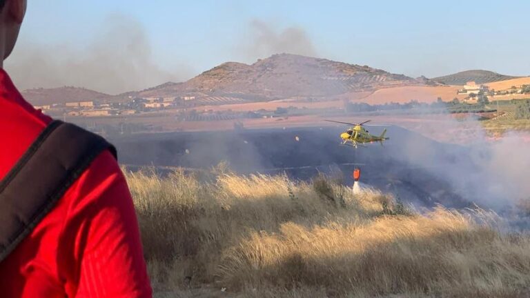 Infoca y bomberos del Consorcio intervienen en varios incendios forestales en Puente Genil