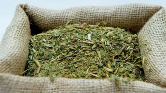 Klingbel sobre la crisis de productores: Tuve que dejar la yerba y el té porque ya no hay rentabilidad»