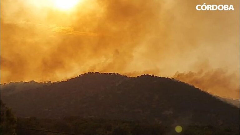 Grave incendio forestal en Villanueva del Rey