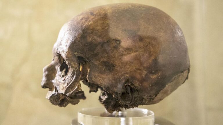 Illueca (Zaragoza) irá a los tribunales para recuperar el cráneo del Papa Luna