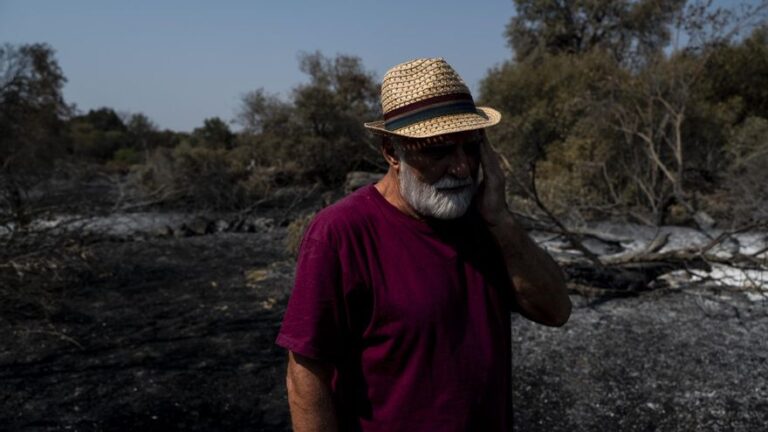 Vídeo | «Esta herida ya es para toda la vida»: el incendio que dice adiós al paraíso verde de Jarilla