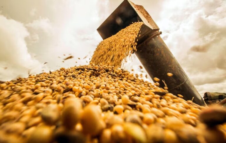 El Gobierno eliminó las retenciones a todos los granos hasta fines de octubre