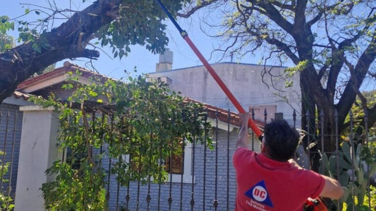 Córdoba colapsada por más de 1.400 emergencias tras el viento