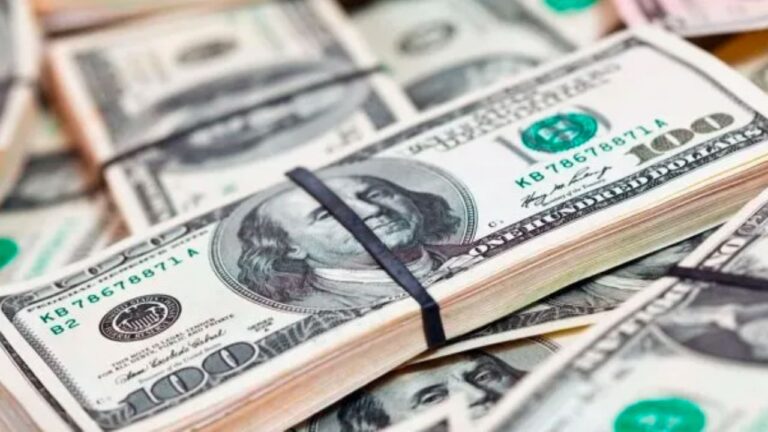 A cuánto cotizan el dólar blue y el dólar oficial este martes
