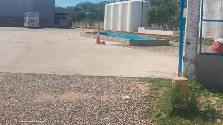 Impactante: hallaron un feto durante limpieza de un micro de larga distancia