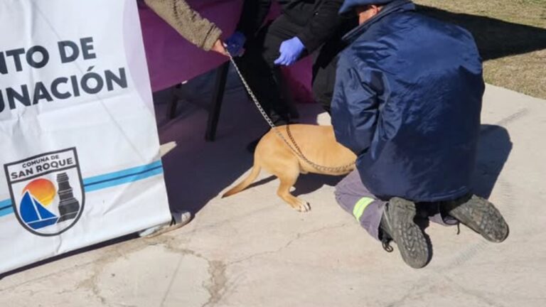 San Roque: finalizó la campaña de vacunación antirrábica