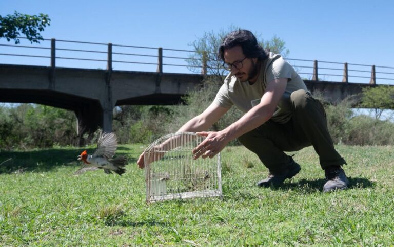 Liberan a 26 aves que estaban alojadas en el Parque de la Biodiversidad