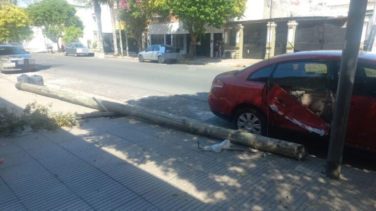 Insólito: Quisieron robar un poste que cayó sobre un auto y lo destruyó