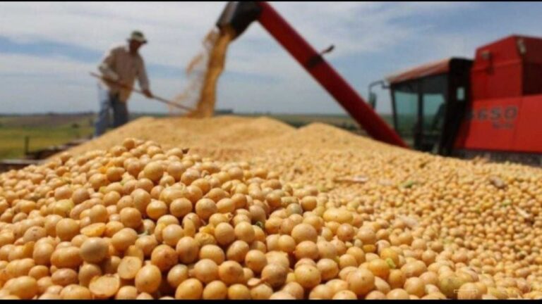 La soja sube a US$ 399, el valor más alto en 15 meses
