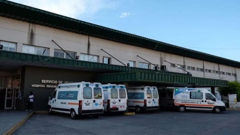 Discutieron, agarró una cuchilla y apuñaló a su pareja en el corazón