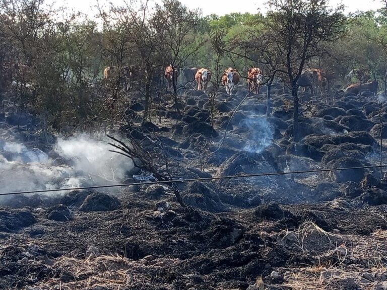 Detuvieron a dos peones rurales acusados de provocar un incendio en Jerónimo Cortez