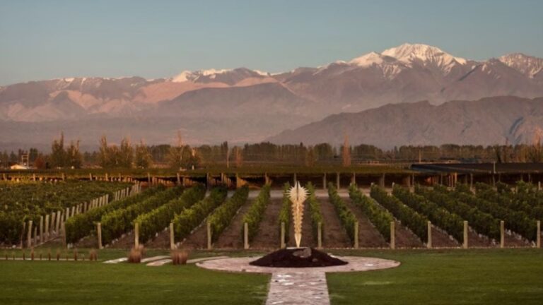 Bodega Norton se presentó en Concurso Preventivo de Acreedores