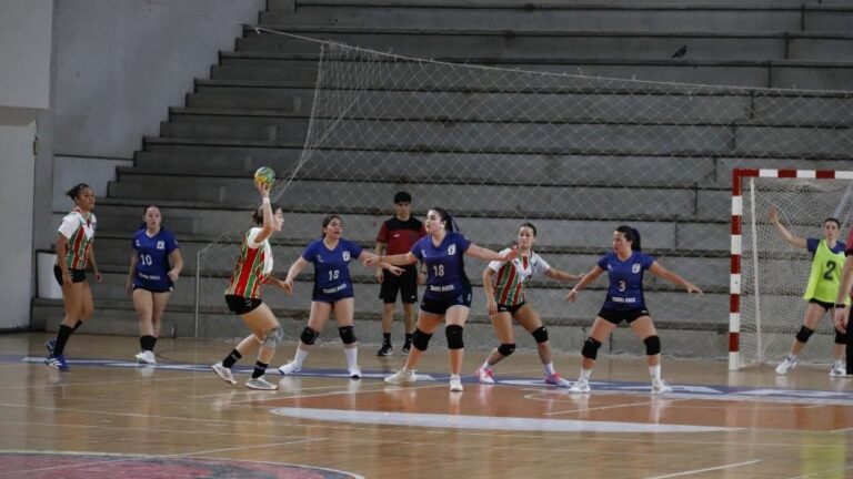 Más de cien jugadores participaron del Torneo Internacional de Handball del Lago