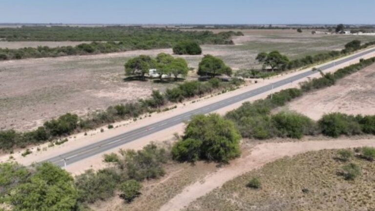 Hallaron un cadáver en un baldío y descubrieron que tenía varias puñaladas