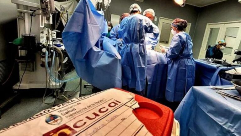 Donar vida: Por qué la ablación de órganos es clave en nuestra sociedad